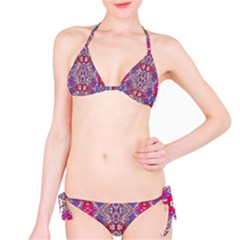 Colorful Ornate Decorative Pattern Bikini by dflcprintsclothing