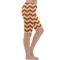 Modern Retro Chevron Patchwork Pattern  Cropped Leggings  View3