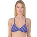 Diagonal chevron pattern Reversible Tri Bikini Top View1