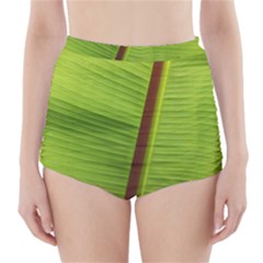 Ensete Leaf High-waisted Bikini Bottoms by picsaspassion