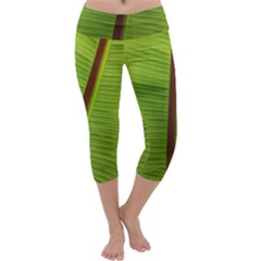 Ensete Leaf Capri Yoga Leggings by picsaspassion
