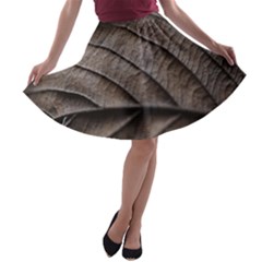 Leaf Veins Nerves Macro Closeup A-line Skater Skirt by Amaryn4rt