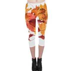 Autumn Leaves Leaf Transparent Capri Leggings  by Amaryn4rt