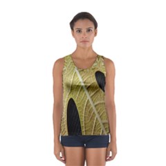 Yellow Leaf Fig Tree Texture Women s Sport Tank Top  by Nexatart