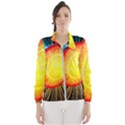 Cross Section Earth Field Lines Geomagnetic Hot Wind Breaker (Women) View1