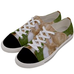 Beautiful Blue Eyed Bunny On Green Grass Women s Low Top Canvas Sneakers by Ucco