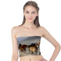 Horses Stampede Nature Running Tube Top View1