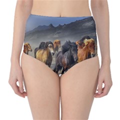 Horses Stampede Nature Running High-waist Bikini Bottoms by Celenk