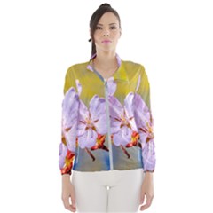 Sakura Flowers On Yellow Windbreaker (women) by FunnyCow