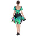 Dragon Lights Turtle Short Sleeve Bardot Dress View2