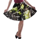 Signs of spring A-line Skater Skirt View1