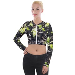 Signs Of Spring Long Sleeve Cropped Velvet Jacket by Riverwoman