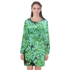 Green Queen Anne s Lace Landscape Long Sleeve Chiffon Shift Dress  by okhismakingart