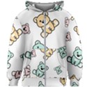 Bears Kids  Zipper Hoodie Without Drawstring View1