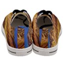 Colored Mountains Landscape, La Rioja, Argentina Men s Low Top Canvas Sneakers View4