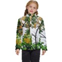 Tree Sunlight Forest Nature Landscape Sunrise Fog Kids  Puffer Bubble Jacket Coat View1
