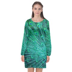 Green And Blue Peafowl Peacock Animal Color Brightly Colored Long Sleeve Chiffon Shift Dress  by Semog4