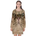 Cute Persian Catface In Closeup Long Sleeve Chiffon Shift Dress  View1
