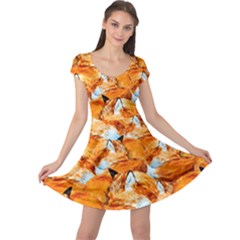 Adorable Sleeping Fox Orange Cap Sleeve Dress by CoolDesigns