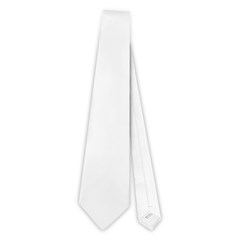 Necktie (One Side) Icon