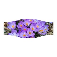 Signs Of Spring Purple Crocua Stretchable Headband by Riverwoman